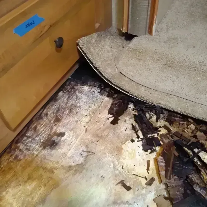 Wood Floor Water Damage in Duval County, TX